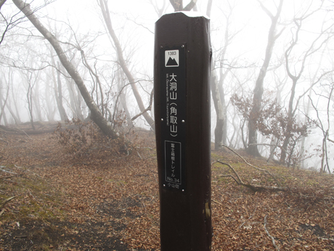 20181205hike (111)